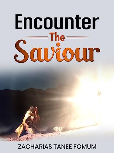 Encounter The Saviour! book cover