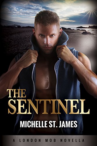 Sentinel book cover