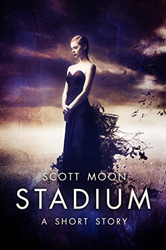Stadium book cover