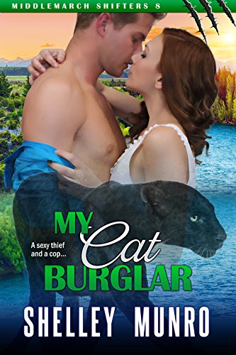 My Cat Burglar book cover