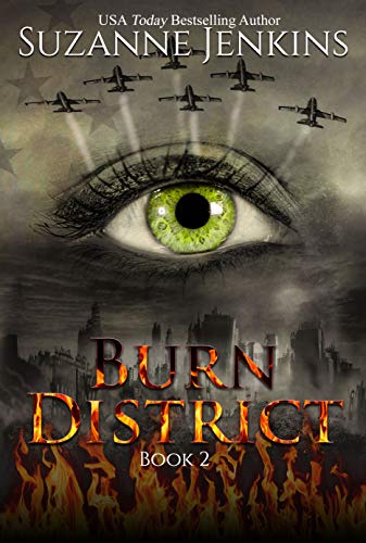 Burn District 2 book cover