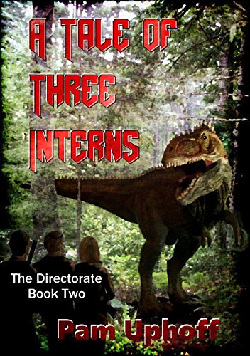 A Tale of Three Interns book cover