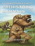 The Princeton Field Guide To Prehistoric Mammals Princeton Field Guides Book 112 English Edition