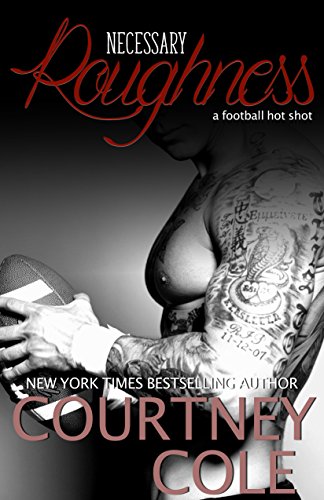 Necessary Roughness cover