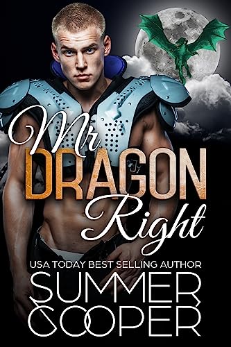 Mr Dragon Right book cover