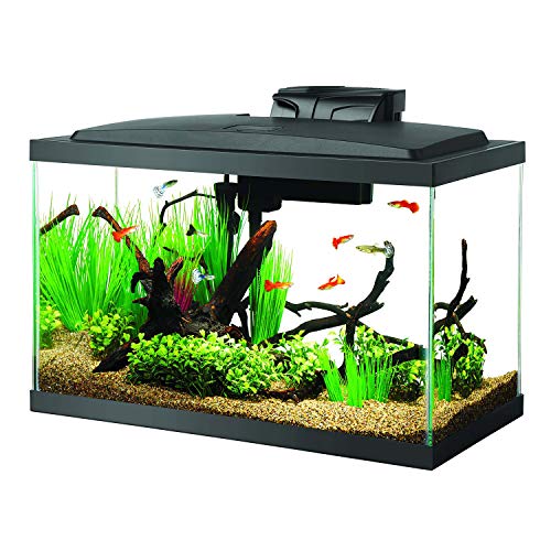 Aqueon 10 Gallon Aquarium Starter Kit