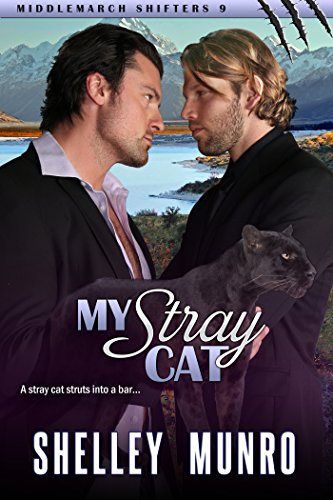 My Stray Cat book cover