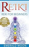 Reiki Reiki For Beginners Psychic Development Series Book 5 English Edition