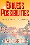 Endless Possibilities: Sunny skies and mountains high (The Journey #3)