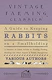 A Guide To Keeping Rabbits On A Smallholding A Selection Of Classic Articles On Housing Feeding Breeding And Other Aspects Of Rabbit Management English Edition