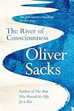 The River Of Consciousness English Edition