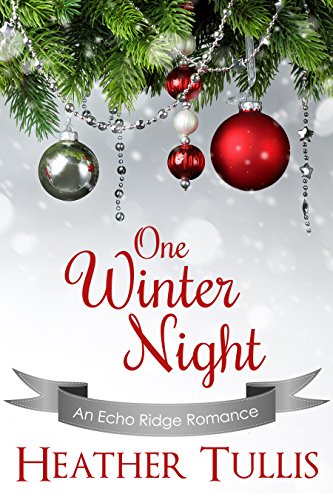 One Winter Night (By: Heather Tullis) cover