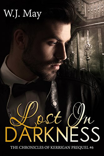 Lost in Darkness book cover
