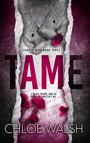 Tame book cover
