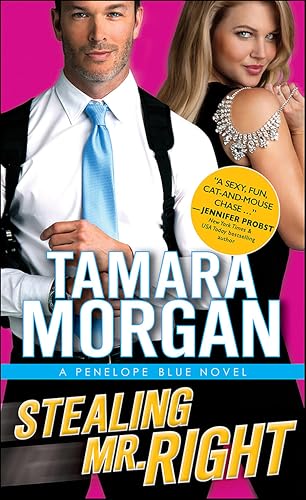 Stealing Mr. Right cover