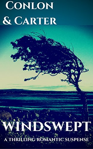 Windswept book cover