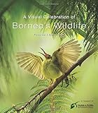 Visual Celebration Of Borneos Wildlife English Edition
