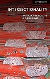 Intersectionality Key Concepts English Edition
