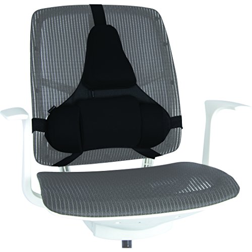 Fellowes Professional Series Ultimate Back Support
