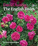 The English Roses English Edition