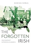 The Forgotten Irish Irish Emigrant Experiences In America English Edition
