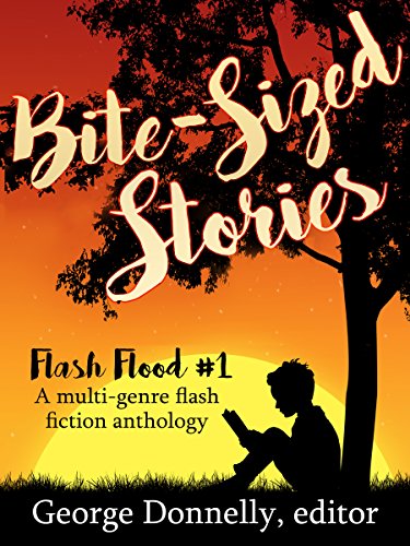 Bite-Sized Stories book cover