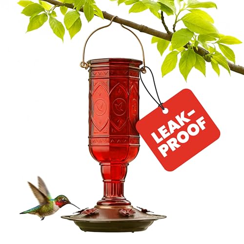 More Birds Red Jewel Hummingbird Feeder, Glass Hummingbird Feeders for Outdoors, 5 Feeding Stations, 20 Ounces