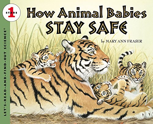 How Animal Babies Stay Safe book cover