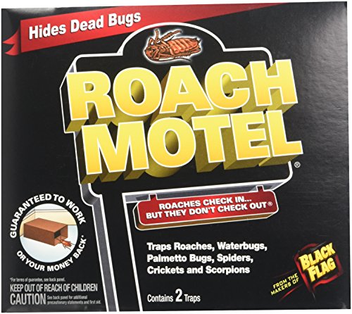 Black Flag (6 Pieces) Roach Motel Insect Trap