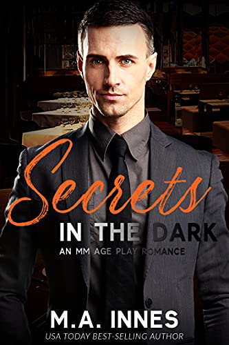 Secrets in the Dark book cover
