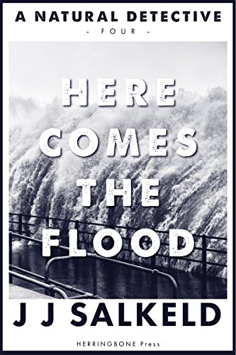 Here Comes the Flood book cover