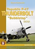 Republic P47 Thunderbolt Bubbletop Yellow Series Book 6128 English Edition