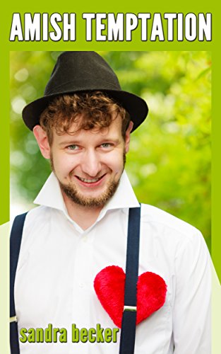 Amish Temptation book cover