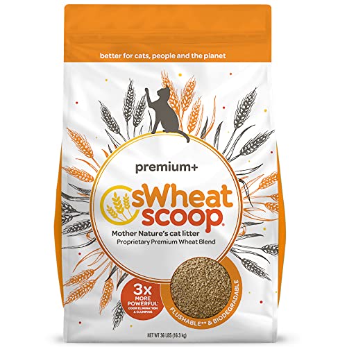 sWheat Scoop Wheat-Based Natural Cat Litter