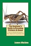 The Beginners Guide To Breeding Crickets At Home How To Breeding Healthy Nutritious Feeder Crickets For Your Reptile Or Amphibian Pet English Edition