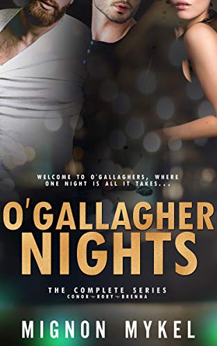Hot Holiday Nights book cover