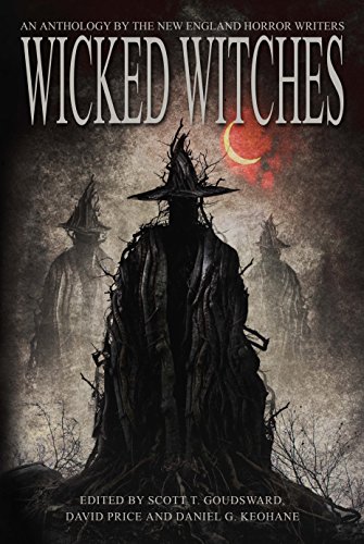 Wicked Witches book cover