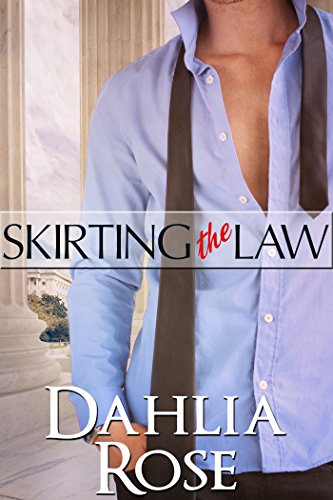 Skirting The Law book cover