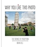 Why You Like This Photo The Science Of Perception English Edition
