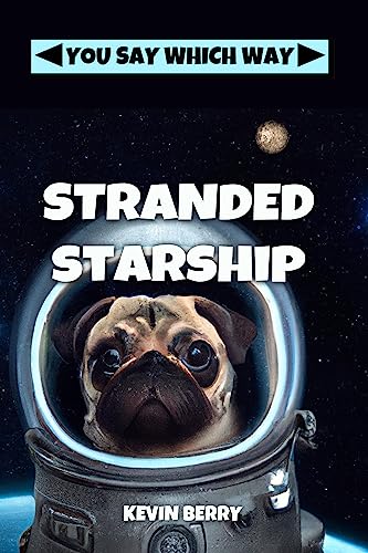 Stranded Starship book cover