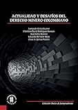 Actualidad Y Desafos Del Derecho Minero Colombiano Textos De Jurisprudencia Spanish Edition