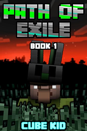 Path of Exile book cover