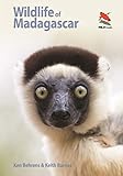 Wildlife Of Madagascar Wildlife Explorer Guides English Edition