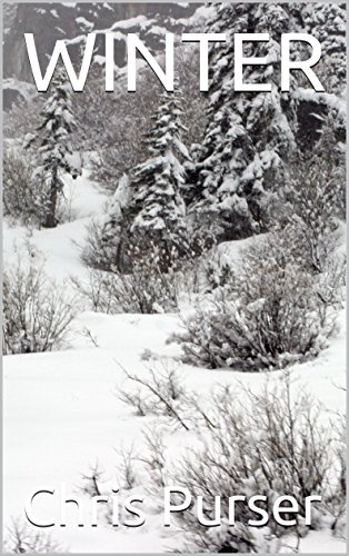 Winter book cover