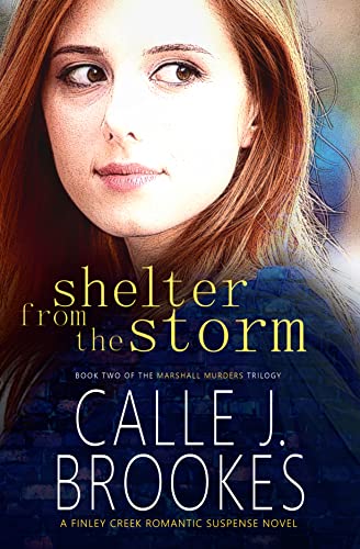 Shelter from the Storm book cover