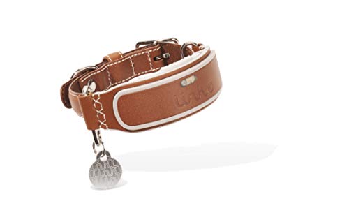 Link AKC Smart Collar
