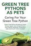 Green Tree Pythons As Pets Green Tree Python Breeding Where To Buy Types Care Temperament Cost Health Handling Husbandry Diet And Much More For Your Green Tree Python English Edition