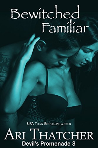 Bewitched Familiar book cover