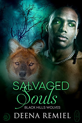 Salvaged Souls book cover