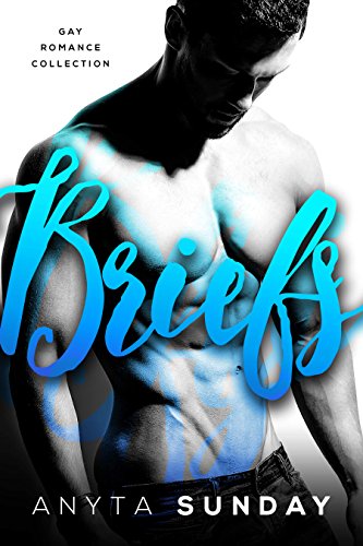 Briefs book cover
